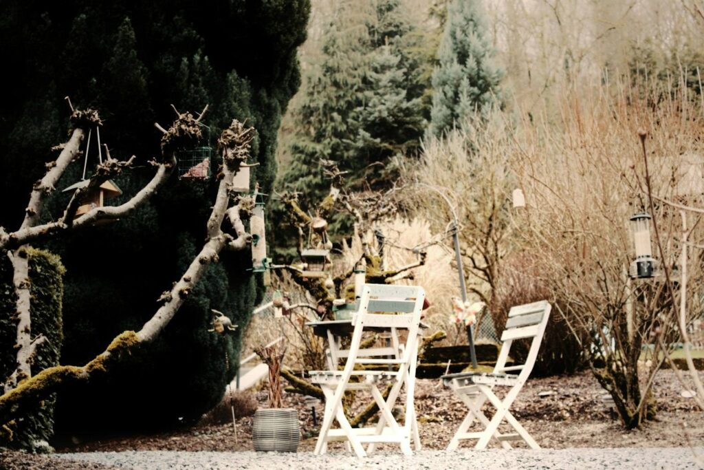 Gestaltete Terrasse mit Gartenmöbeln und Pflanzen – Google Ads für Garten- und Landschaftsbau